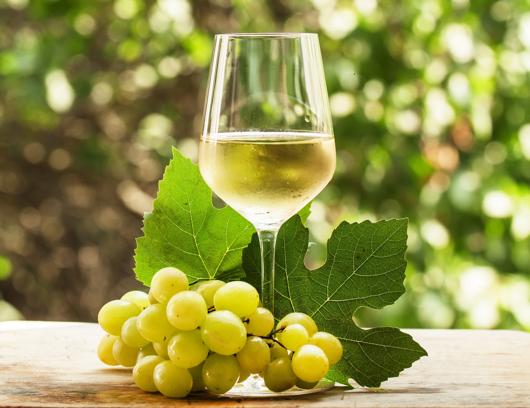 Kända rieslingviner